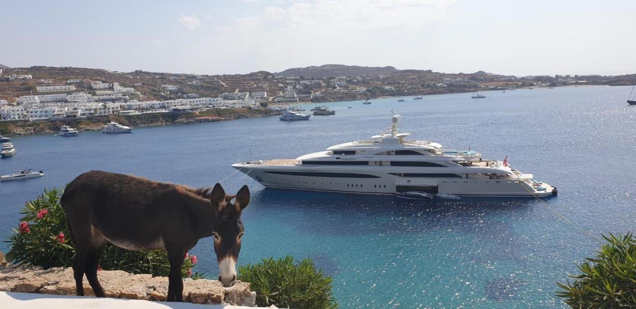 Mykonos Azure Aparthotel Psarou  Exteriör bild